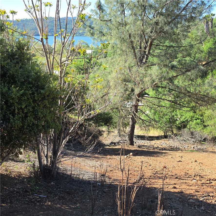 13477 Arrowhead Road Property Photo 8