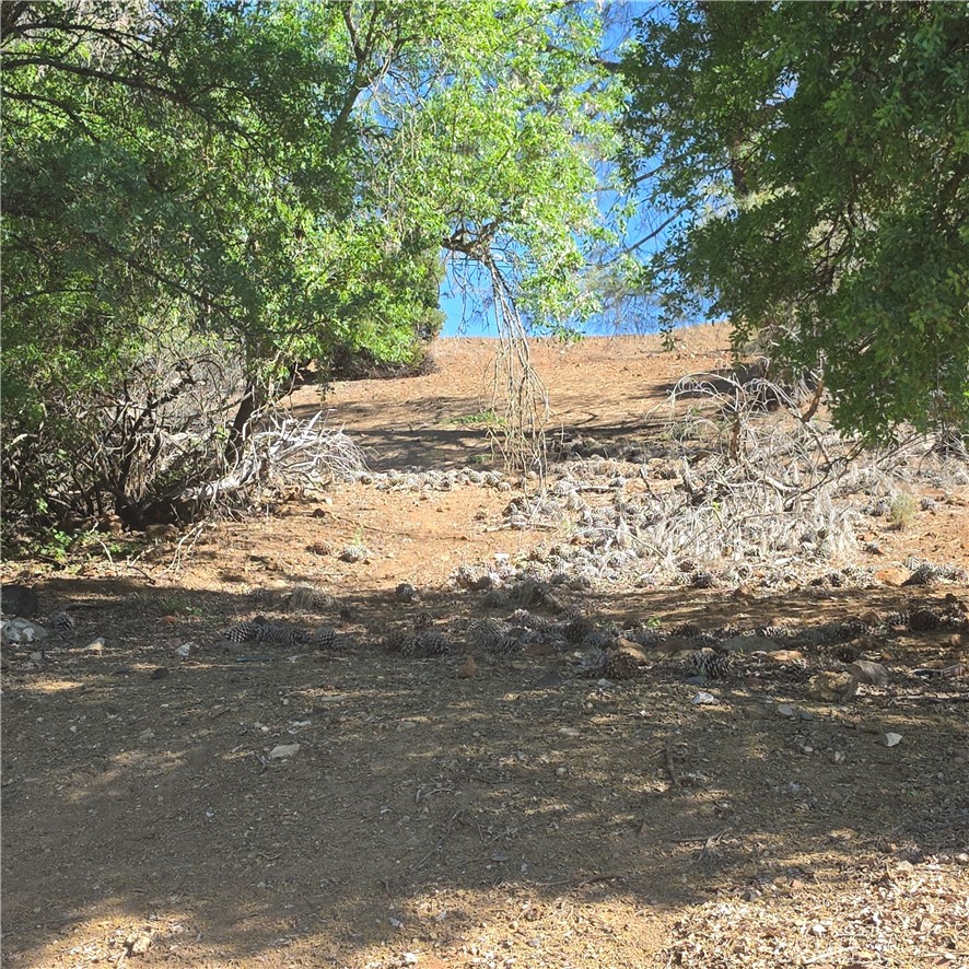 13477 Arrowhead Road Property Photo 14