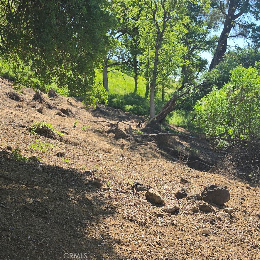 13477 Arrowhead Road Property Photo 15