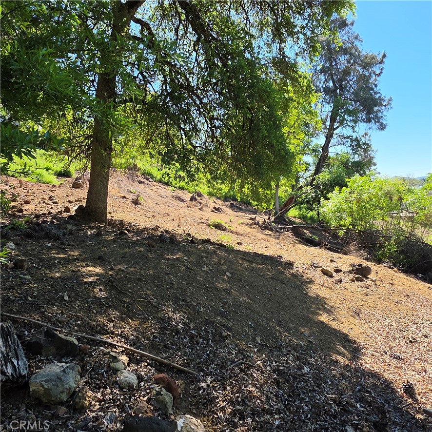 13477 Arrowhead Road Property Photo 16
