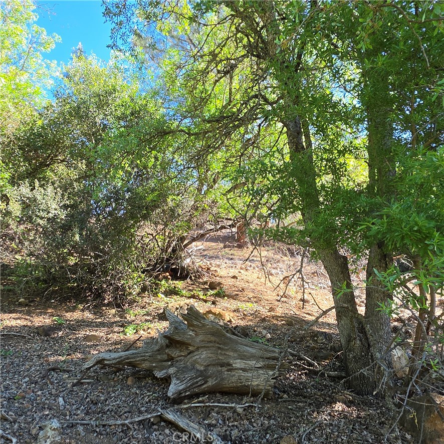 13477 Arrowhead Road Property Photo 17