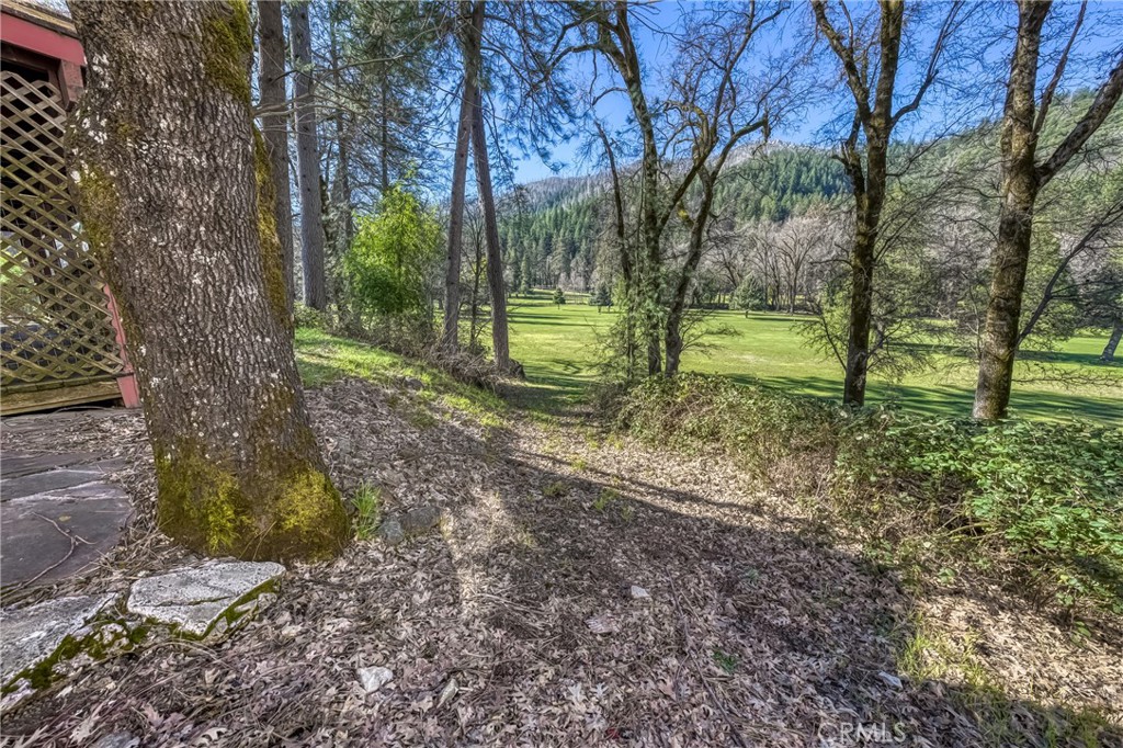 16345 Tee Road Property Photo 39