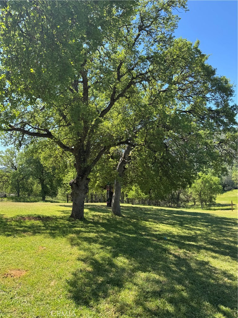 2940 Blackfeet Trail Property Photo 4