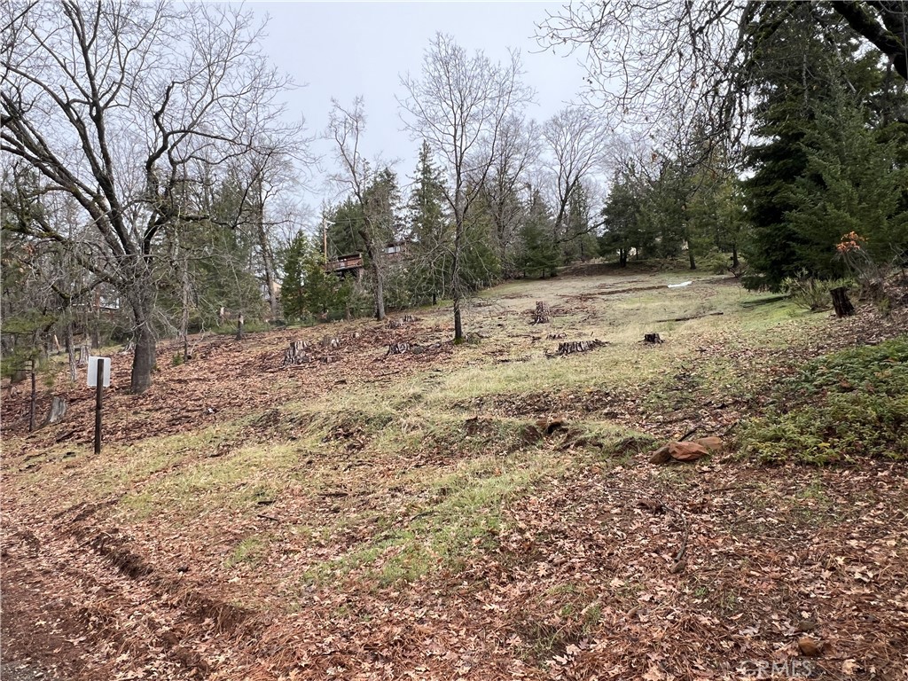 9530 St Helena Drive Property Photo 3