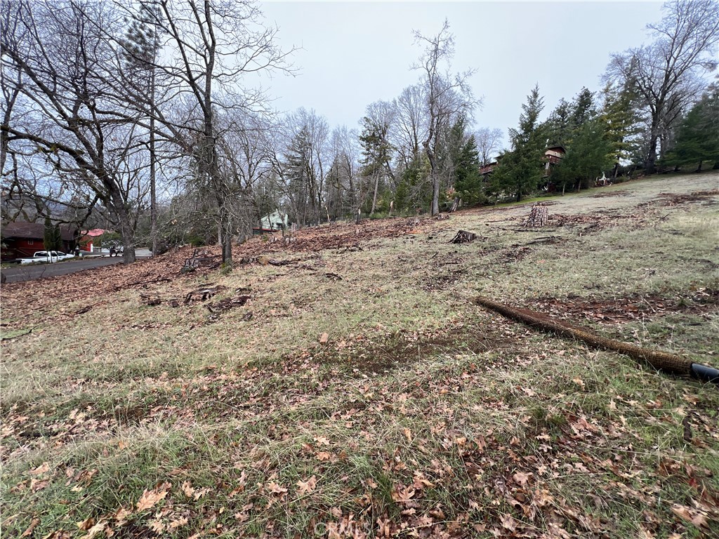 9530 St Helena Drive Property Photo 4