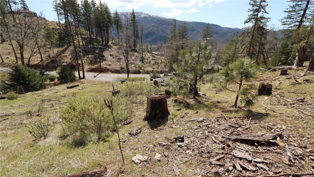 9730 Fox Drive Property Photo