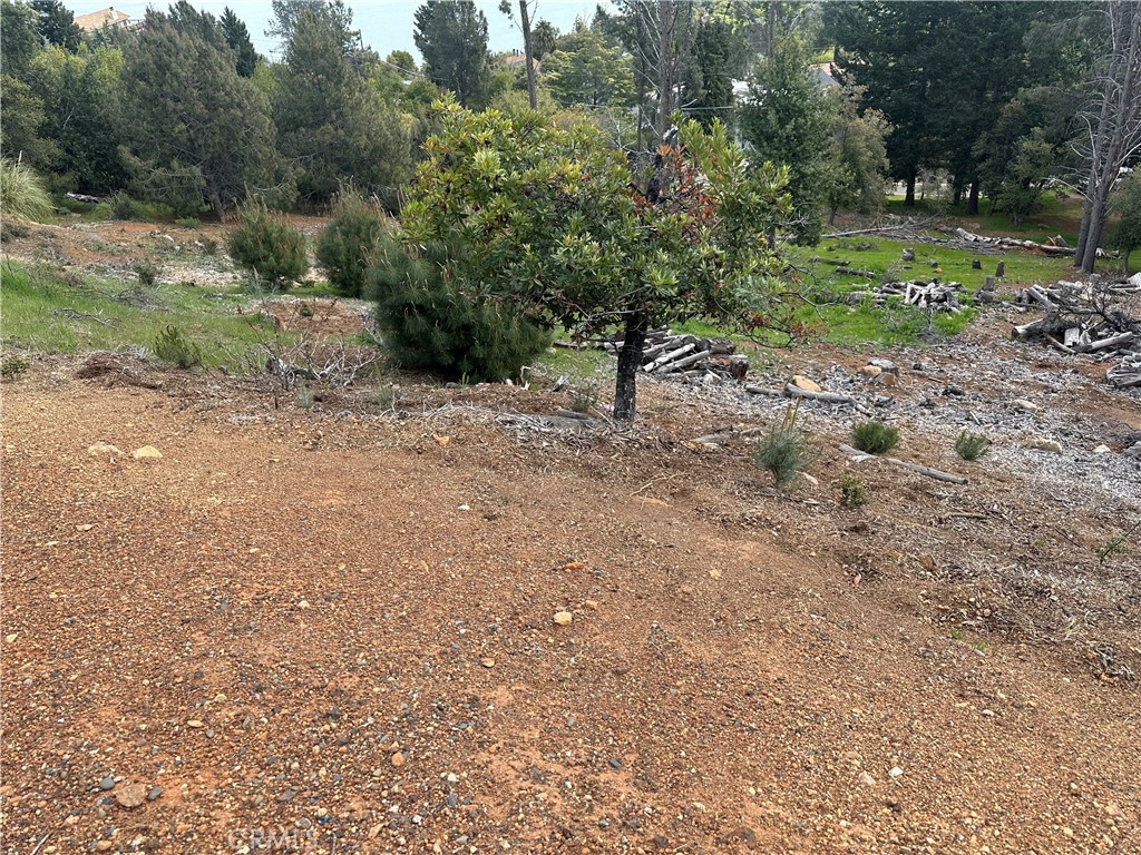 3382 Pine Terrace Drive Property Photo 6