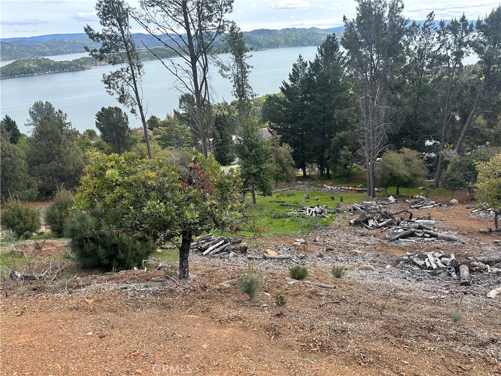 3382 Pine Terrace Drive Property Photo 7