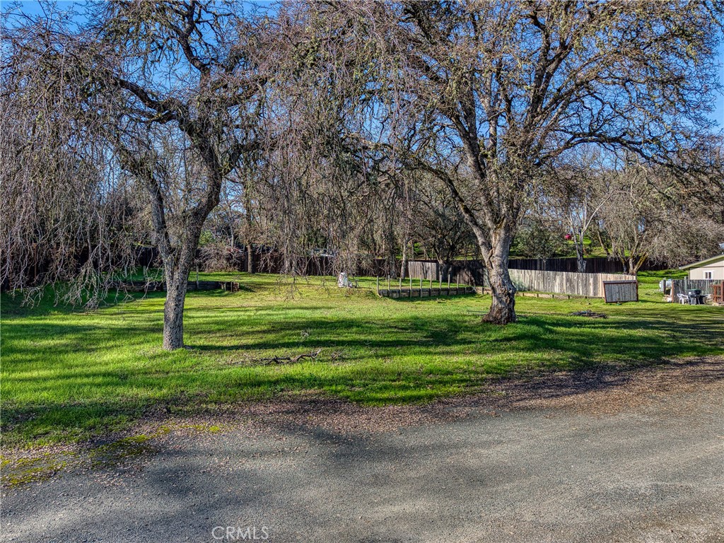1335 Mountview Road Property Photo 67