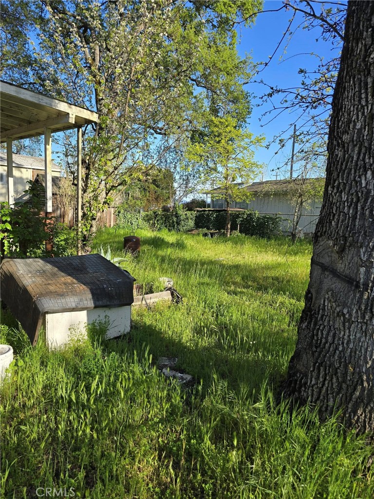 2646 Beach Lane Property Photo 7