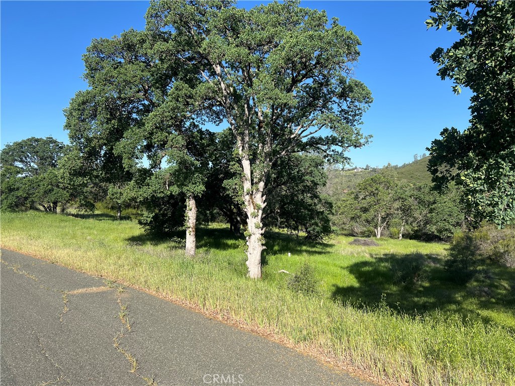 19600 Nicholas Lane Property Photo 1