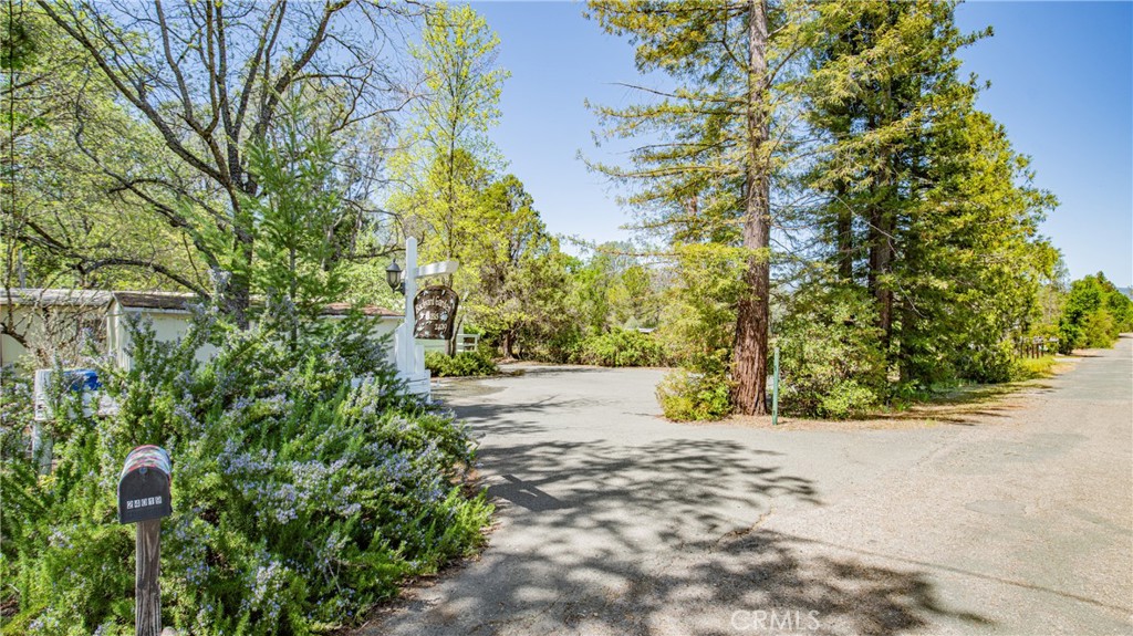 24019 Hilderbrand Road Property Photo 2