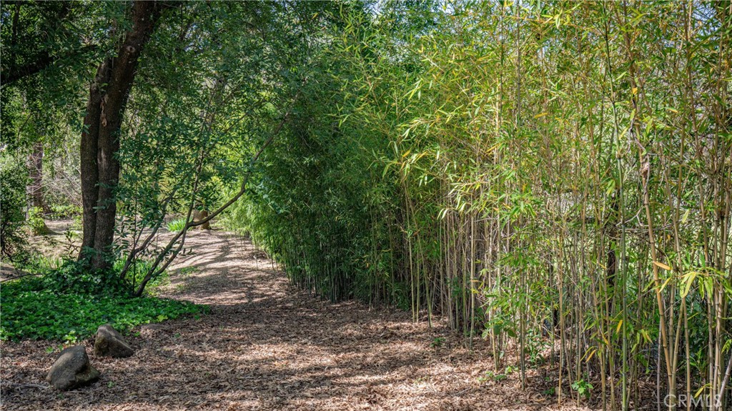 24019 Hilderbrand Road Property Photo 60
