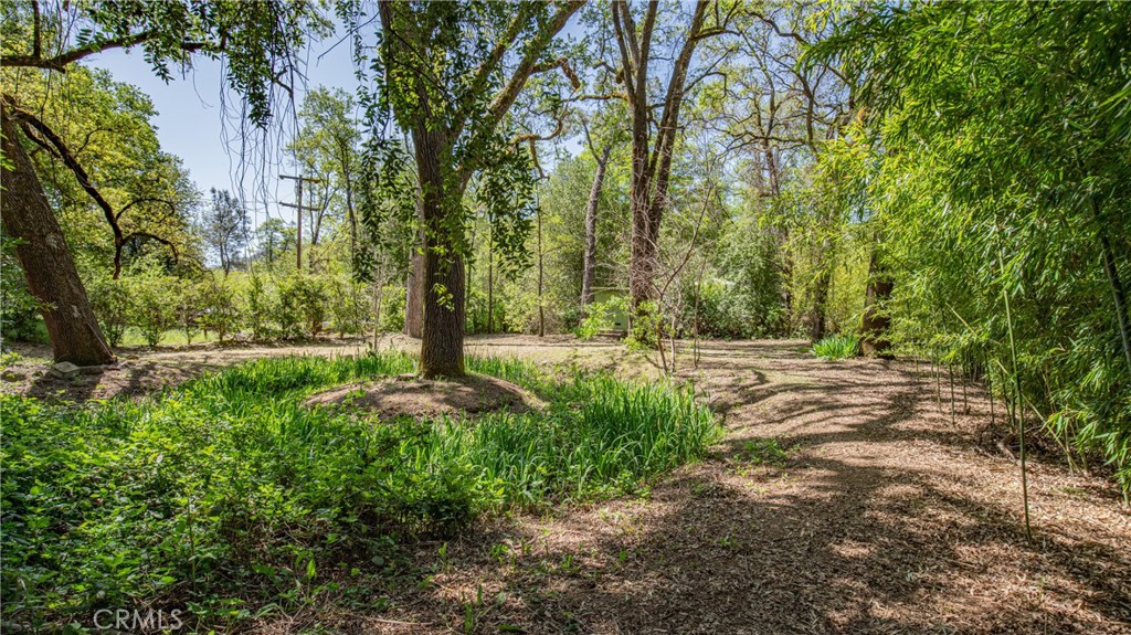 24019 Hilderbrand Road Property Photo 61