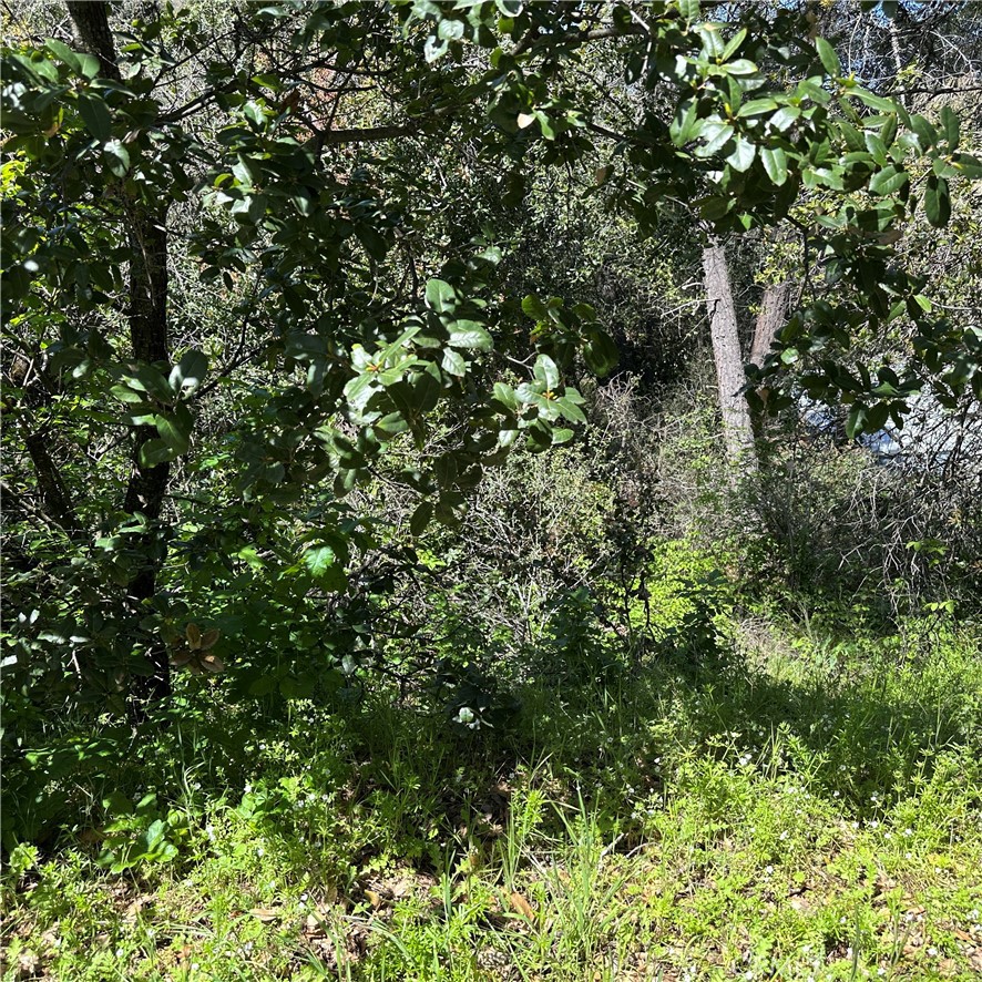 6972 Floyd Way Property Photo