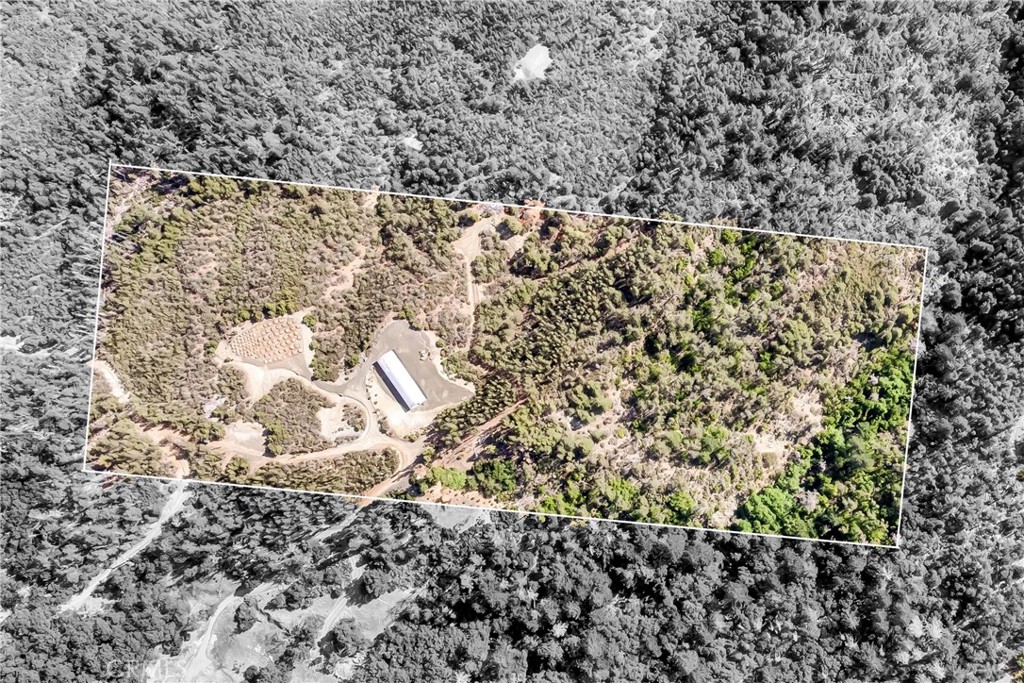 12125 Dry Creek Road Property Photo 1