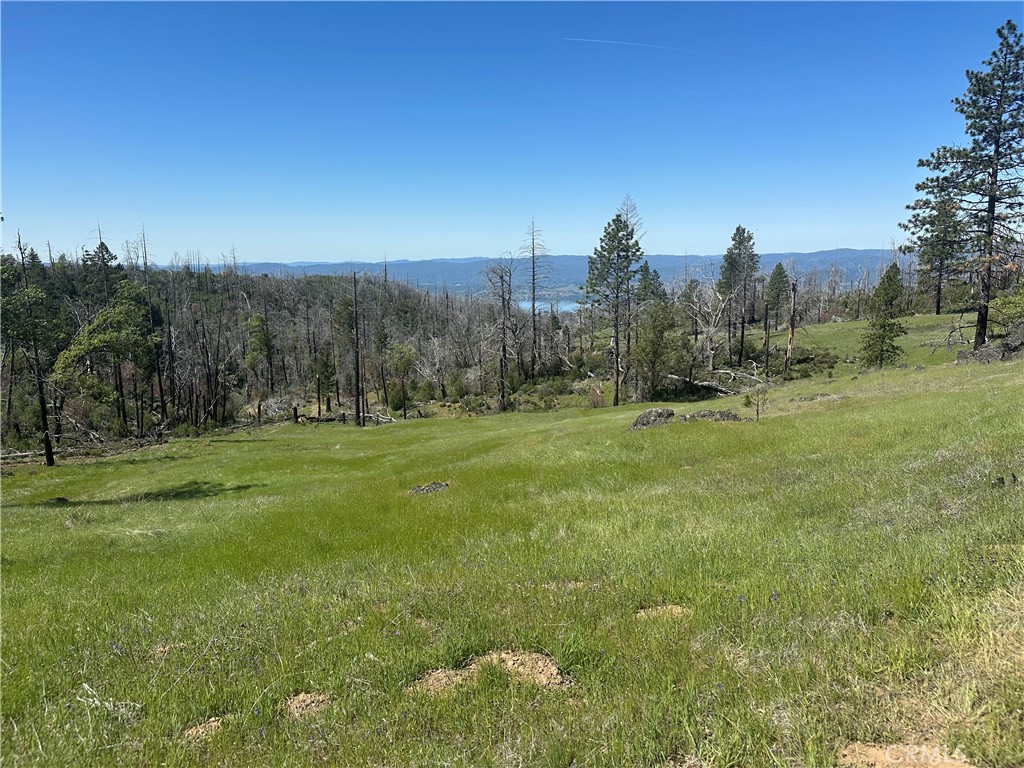 8191 Deer Valley Road Property Photo 1
