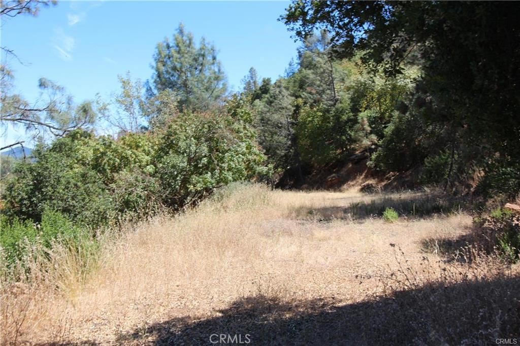 5191 Lake Road Property Photo 7