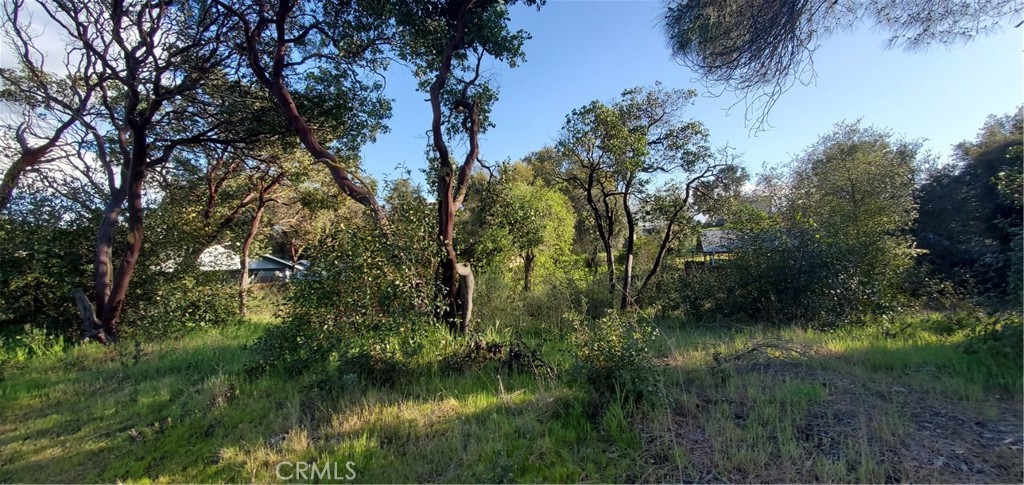 13577 Sonoma Avenue Property Photo 1