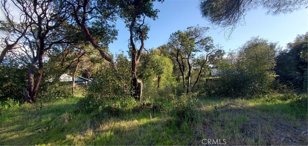 13577 Sonoma Avenue Property Photo 1