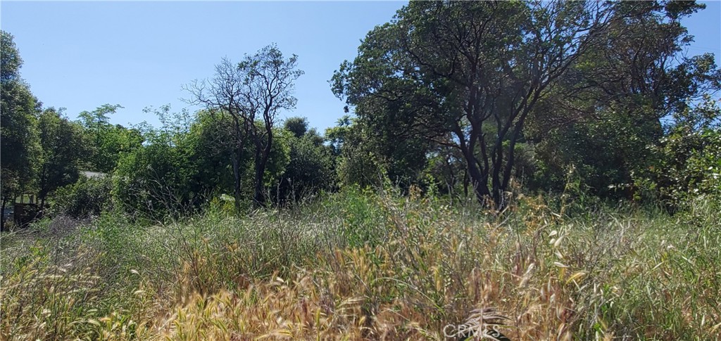 13577 Sonoma Avenue Property Photo 10