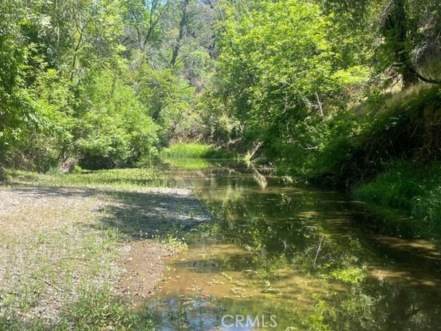 8220 Scotts Valley Road Property Photo 7