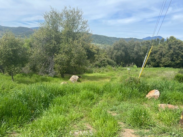 15578 19th Avenue Property Photo 1