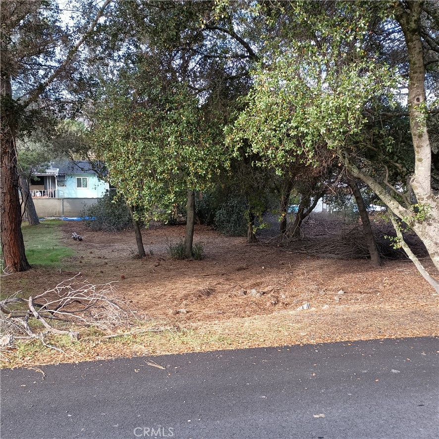 3031 9th Street Property Photo 1