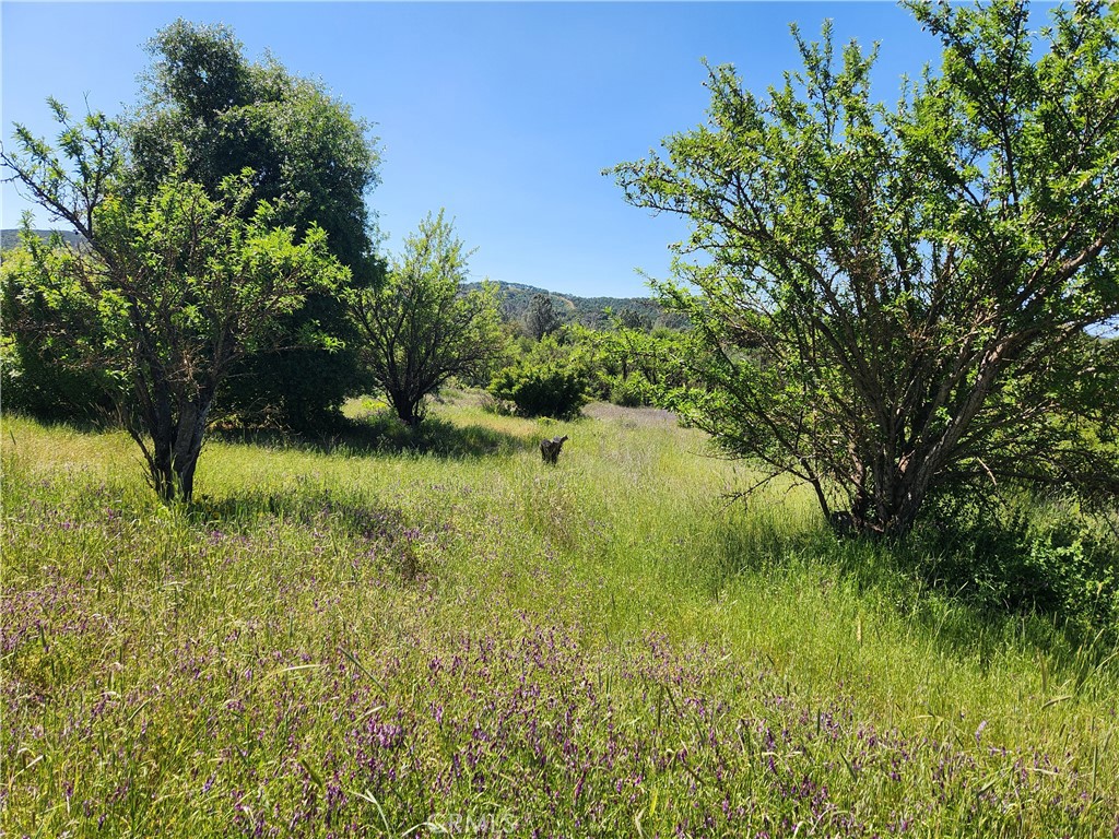 14241 Mcbride Court Property Photo 2