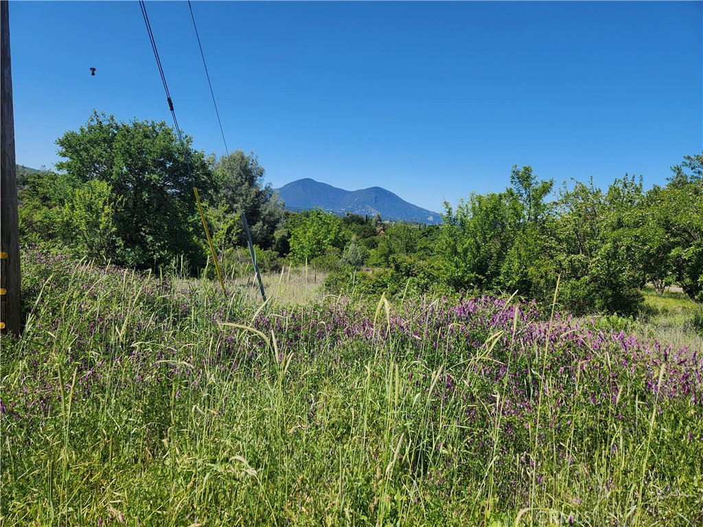 14241 Mcbride Court Property Photo 3