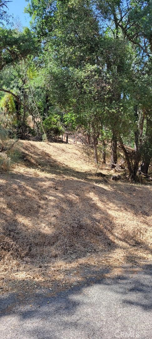 6151 Sunrise Drive Property Photo 9