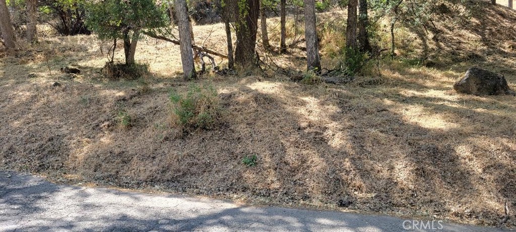 6151 Sunrise Drive Property Photo 10
