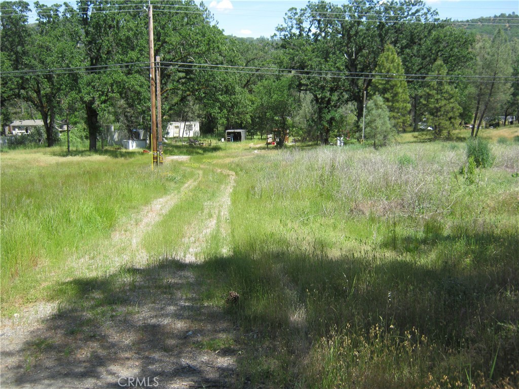 23670 West Road Property Photo 1