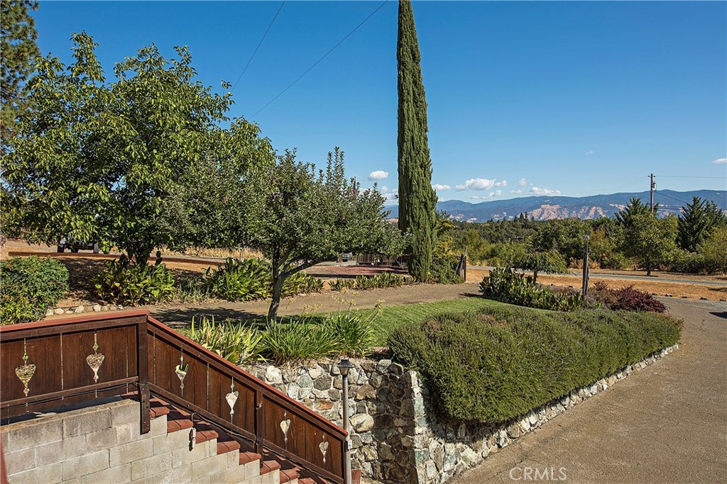 1524 Martin Street Property Photo 32