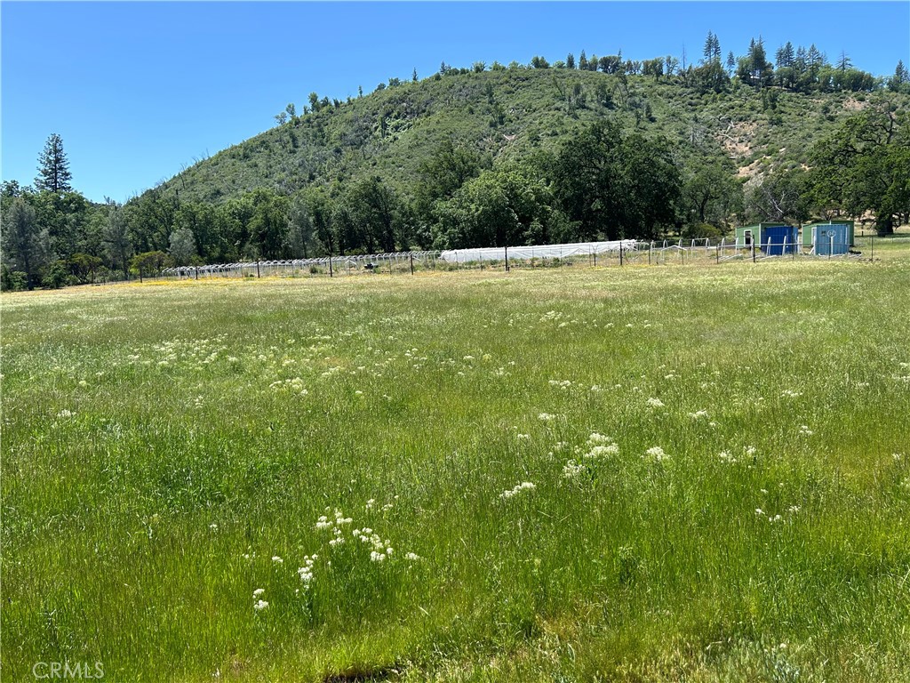12345 Seigler Canyon Rd Property Photo 4