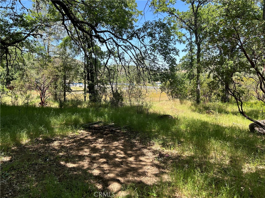12345 Seigler Canyon Rd Property Photo 5