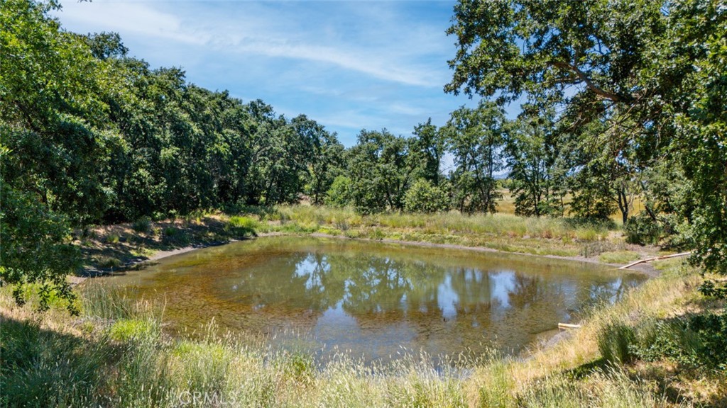 270 Soda Bay Road Property Photo 6