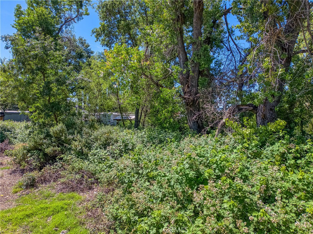 5905 E Highway 20 Property Photo 8