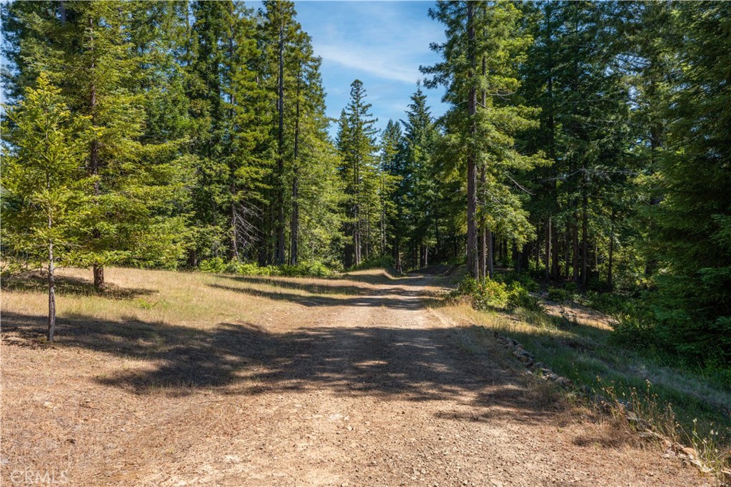 5801 Flynn Creek Road Property Photo 1