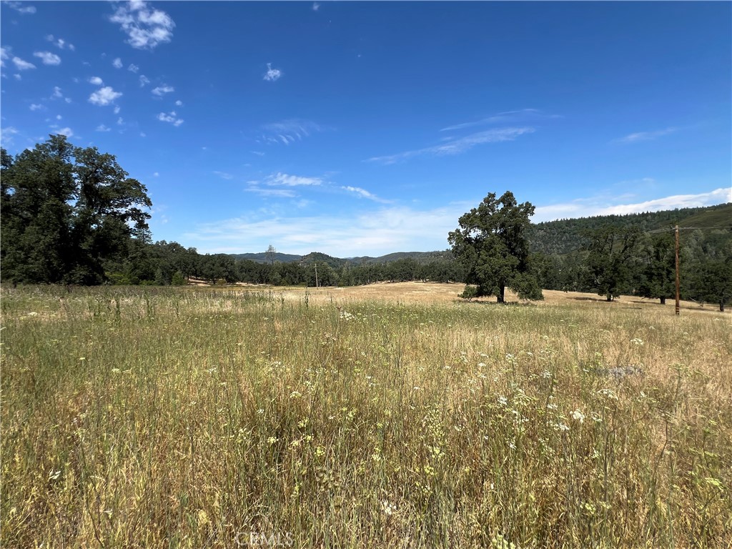 8734 Sulphur Creek Road Property Photo 13