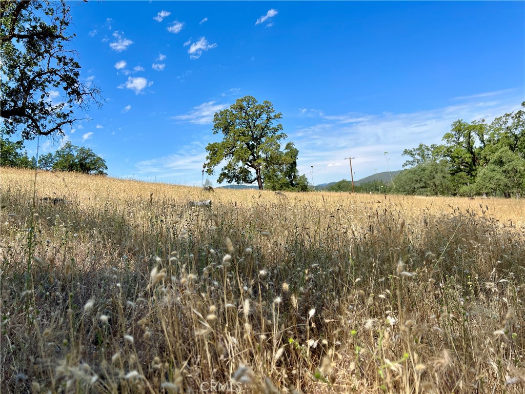 8734 Sulphur Creek Road Property Photo 14