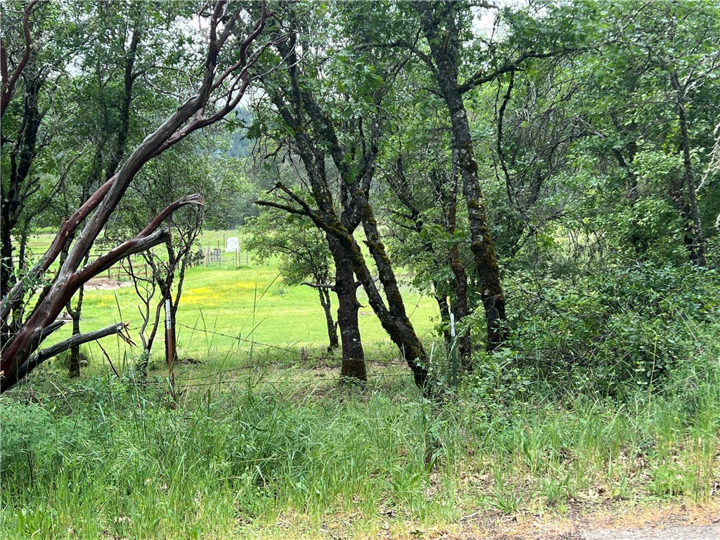 8734 Sulphur Creek Road Property Photo 15