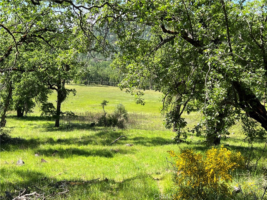 8734 Sulphur Creek Road Property Photo 16