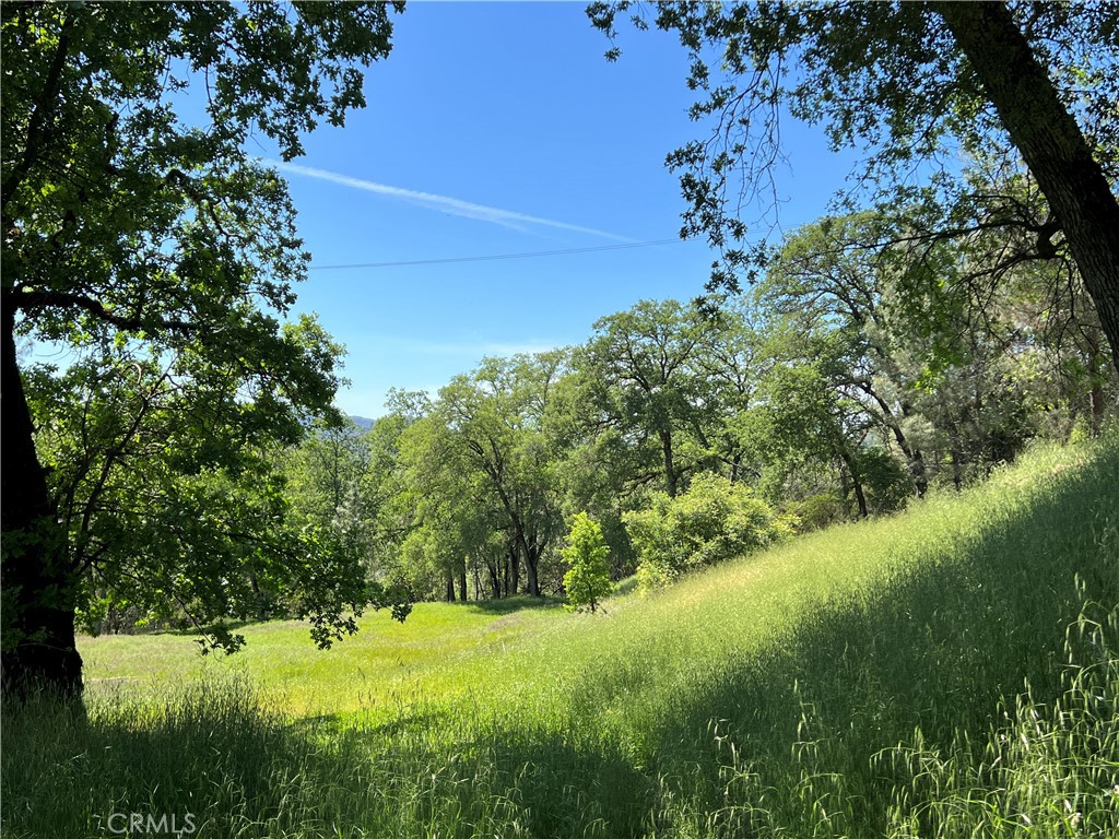 8734 Sulphur Creek Road Property Photo 17