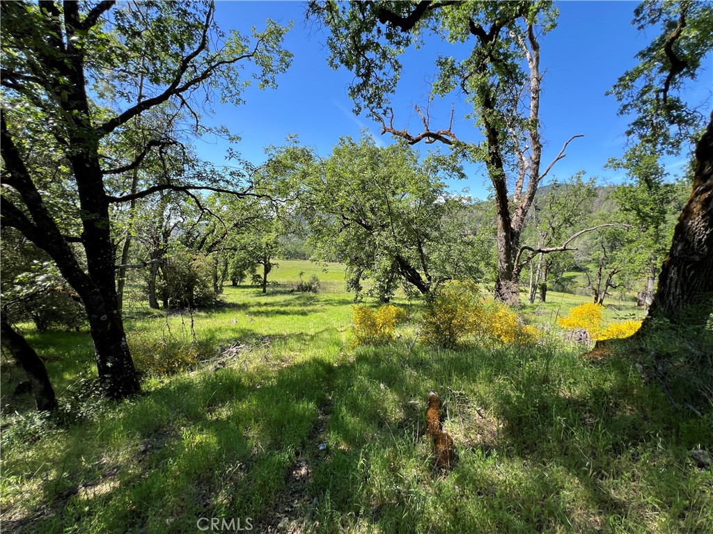 8734 Sulphur Creek Road Property Photo 18