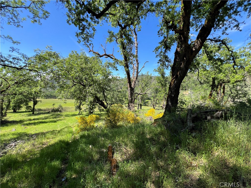 8734 Sulphur Creek Road Property Photo 19