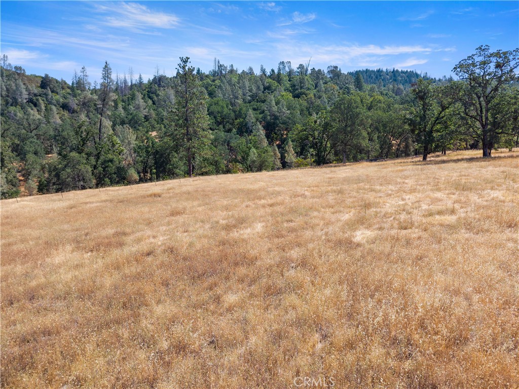 8734 Sulphur Creek Road Property Photo 49