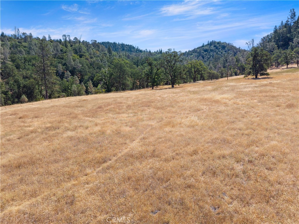 8734 Sulphur Creek Road Property Photo 53