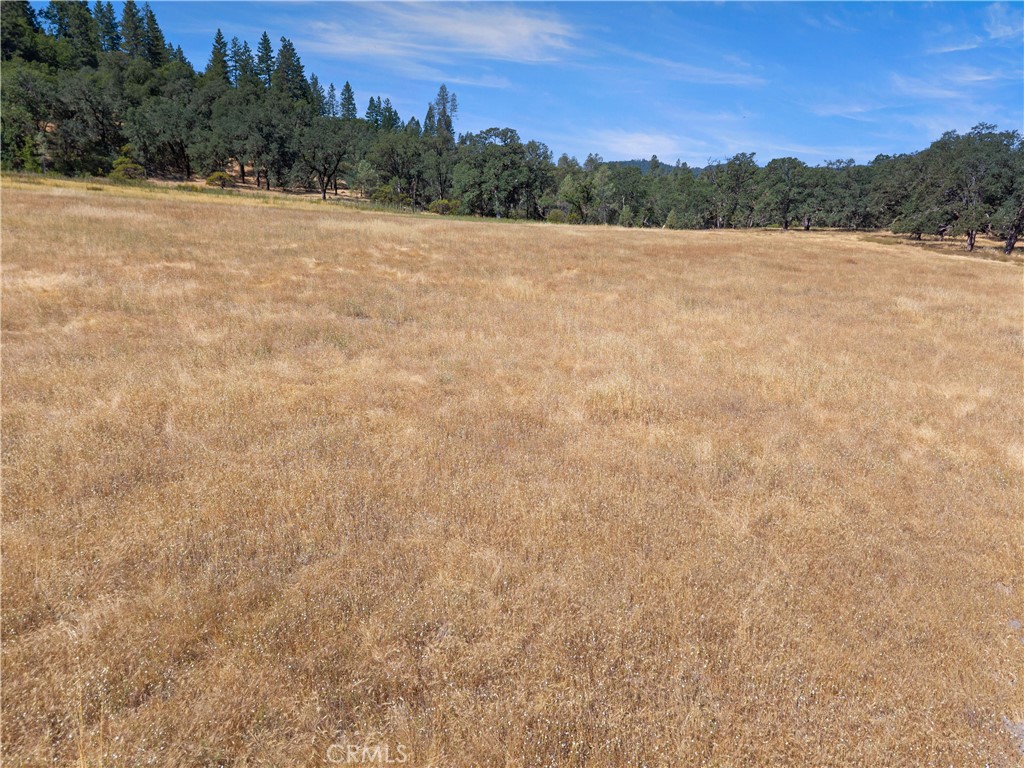 8734 Sulphur Creek Road Property Photo 54