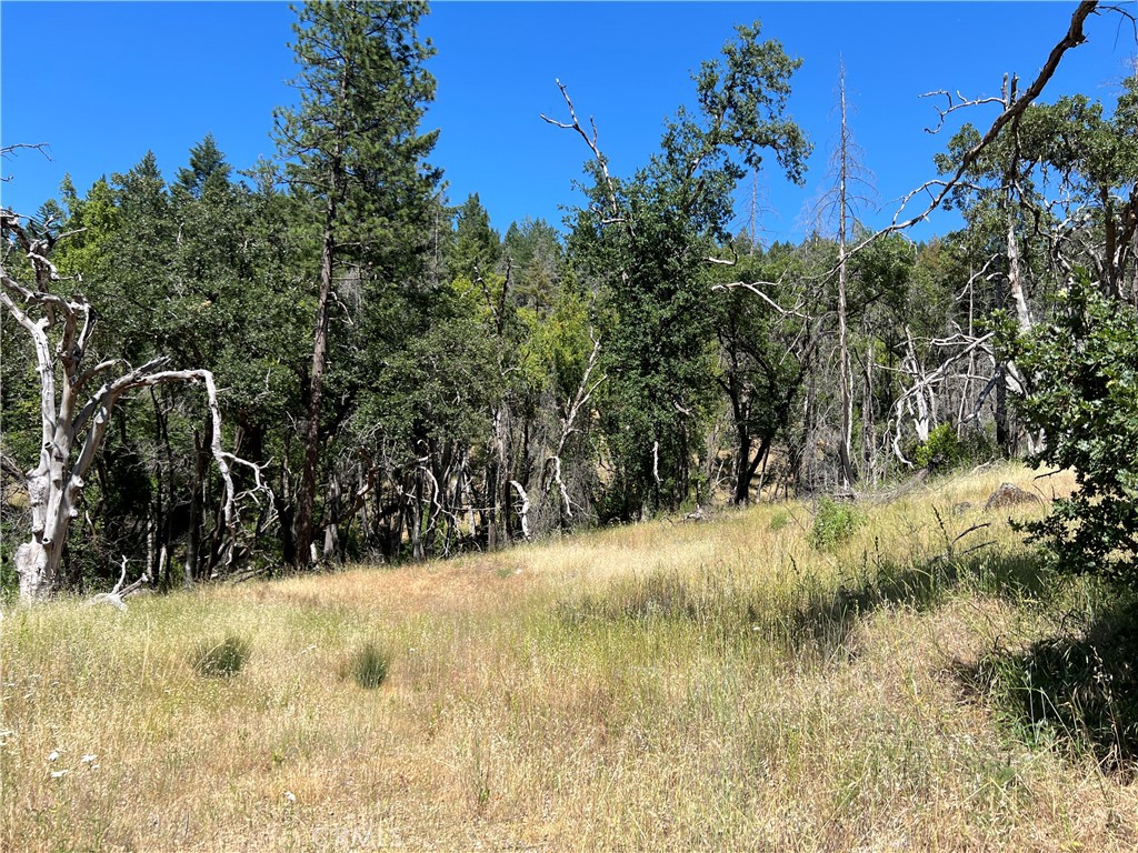 20925 Mid Mountain (17n17 Usfs) Road Property Photo 1